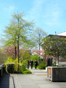 Strolling the elevated walkway.